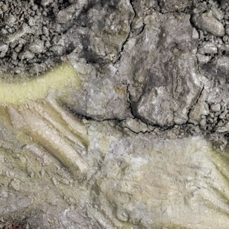 The topsoil is black mucky silt loam enriched with highly decomposed organic material called humus. - History By Mail