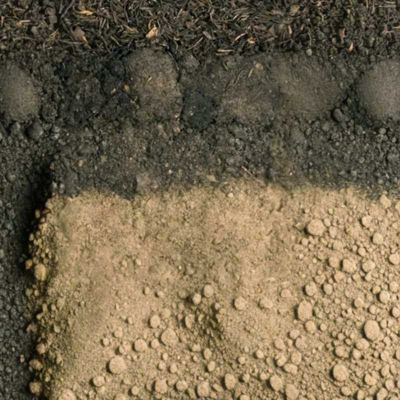 The Seitz soil series consists of very deep, well drained, slowly permeable soils that formed in colluvium. - History By Mail