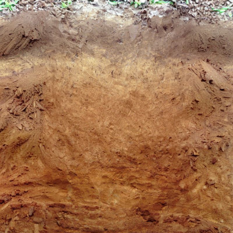 Greenwich Loam has a subsoil of strong brown loam in the upper part, yellowish brown sandy loam below, and a substratum composed of yellowish brown. - History By Mail