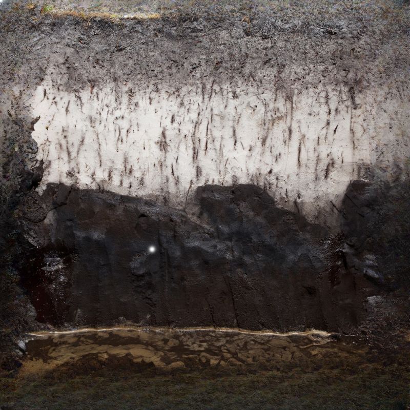 Myakka soil has a very dark gray sand surface layer composed of gray sand. - History By Mail