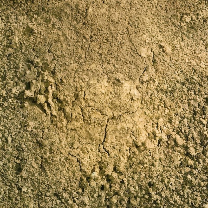 Miami soil consists of very deep, moderately well-drained soils that are moderately deep to dense till. - History By Mail