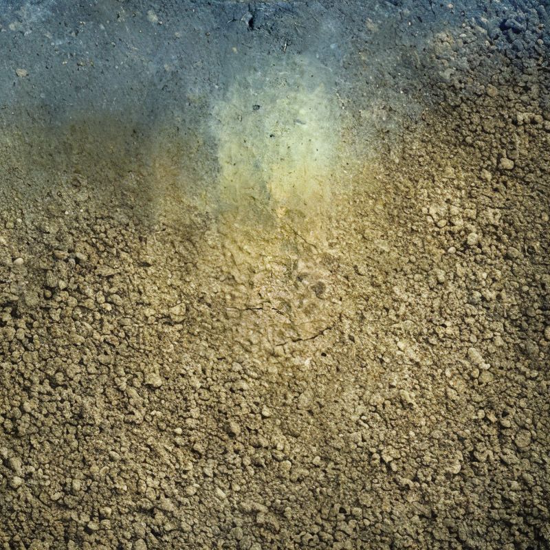 The Ruston soil consists of very deep, well-drained, moderately permeable soils that formed in loamy marine. - History By Mail