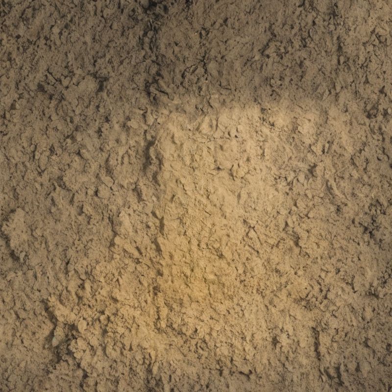 Sassafras soil has a fine-sized subangular blocky structure, has few roots in the soil, and can be acidic. - History By Mail