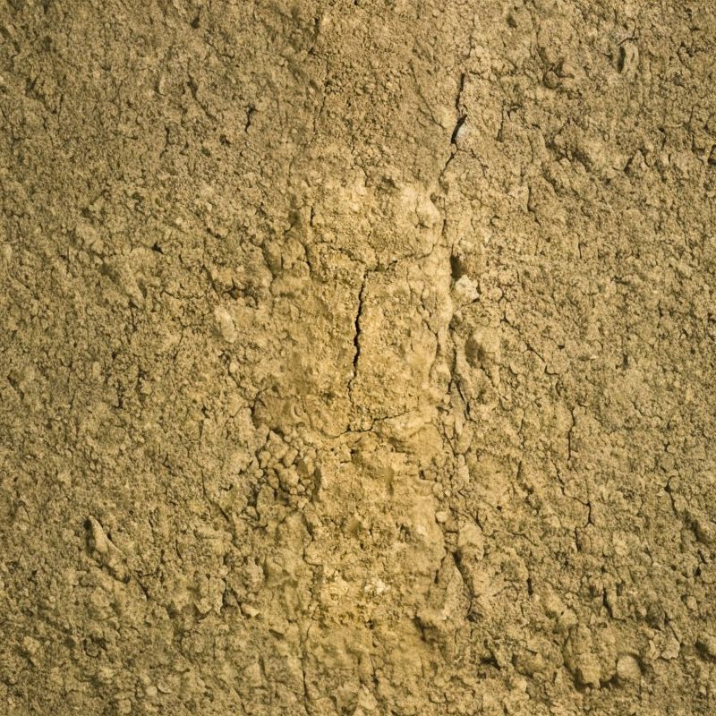 Miamian soils are deep, moderately well-drained soils developed from materials deposited by the continental glaciers during the last ice age. - History By Mail