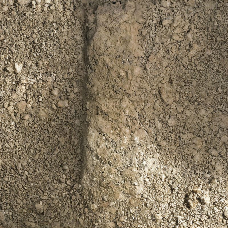 The Mivida series consists of deep and very deep, well-drained soils that formed in eolian and alluvial sediments over sandstone. - History By Mail