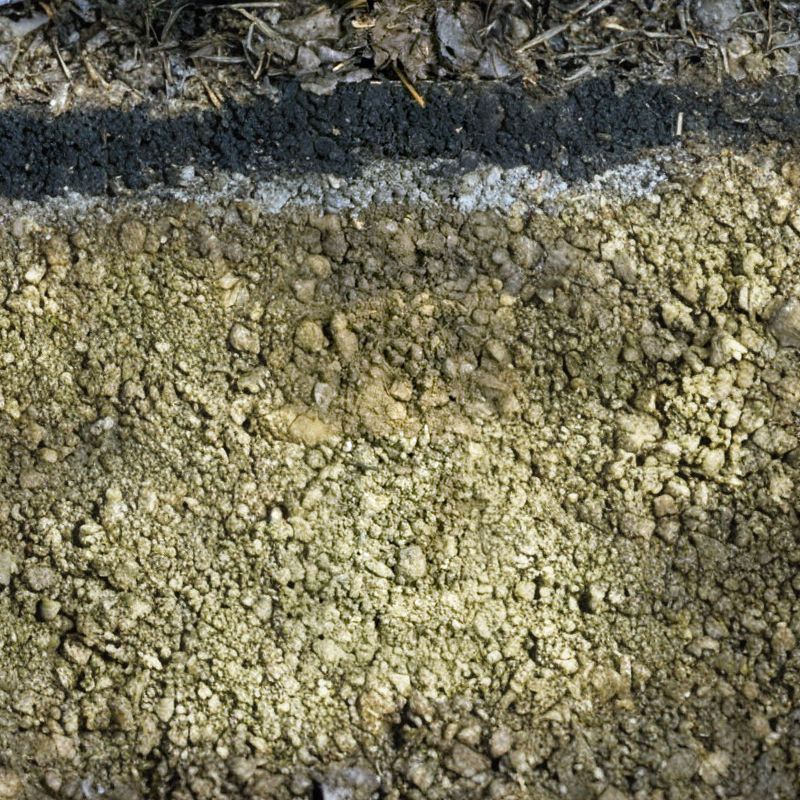 The Tunbridge soil is a well-drained, loamy, acidic soil formed in Wisconsin-age glacial till. - History By Mail
