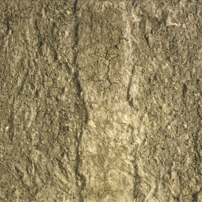 The Forkwood series consists of very deep, well-drained soils formed in alluvium. - History By Mail