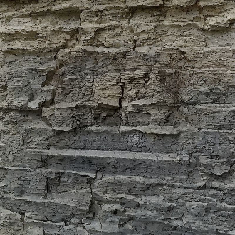 Greenhorn formation is largely a light-gray calcareous mudstone with interbedded calcareous marl. - History By Mail