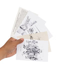 Historic Cartoons Box (Set of 50 Cards) - History by Mail