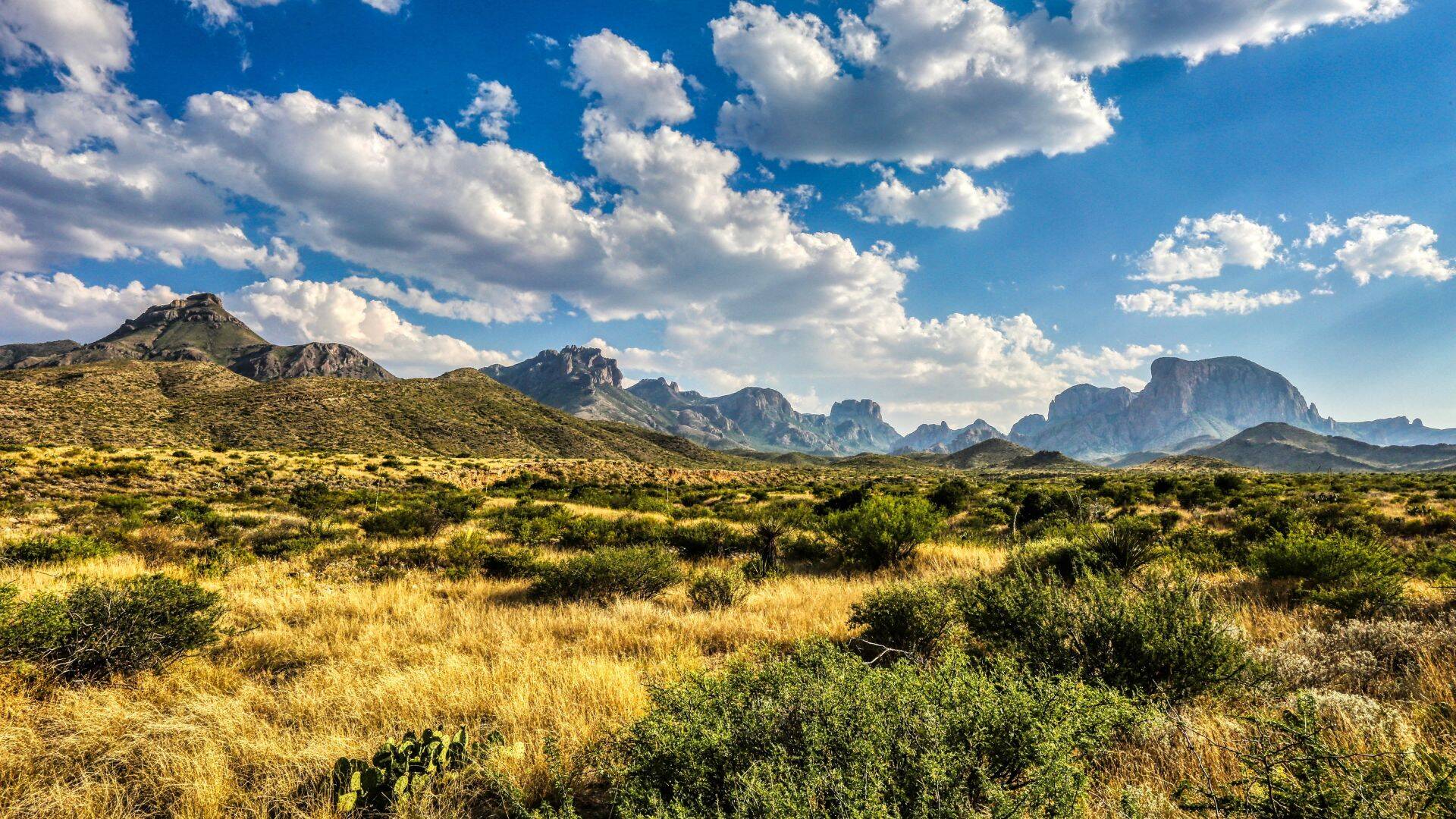A field of grass and the Chisos Mountain Range are in the background. - History By Mail