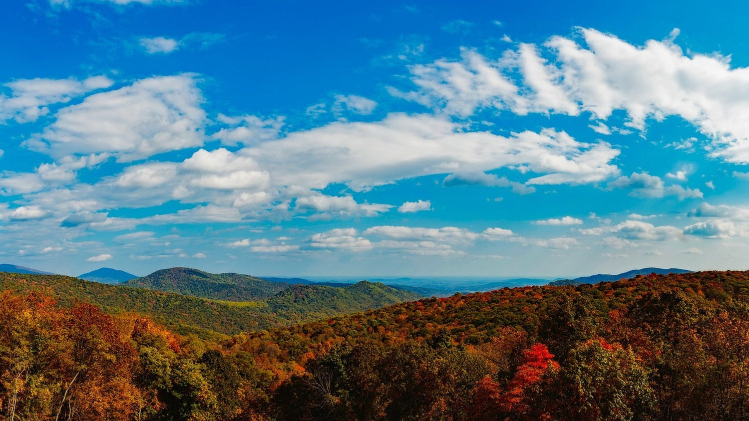 The Blue Ridge Mountains under the blue skies. - History By Mail