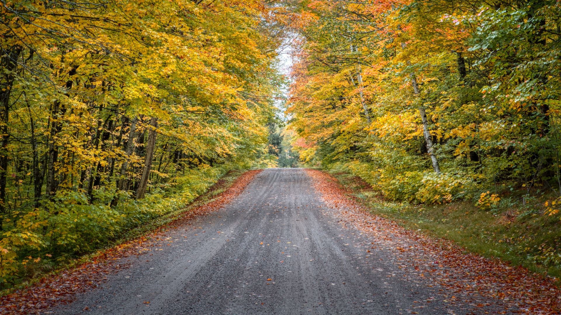 Autumn road in Merril, Wisconsin. - History By Mail