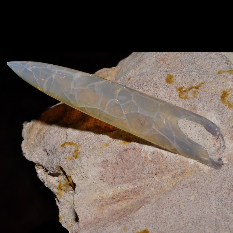 Belemnite is an extinct order of squid-like cephalopods that existed from the Late Triassic to Late Cretaceous. - History By Mail