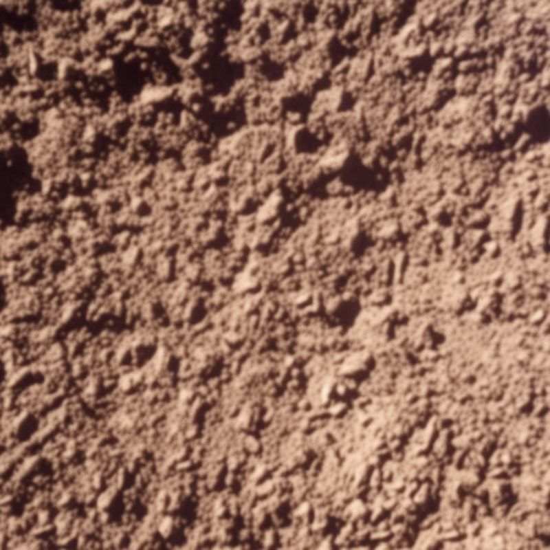 The Casa Grande soil consists of very deep, well-drained, saline-sodic soils. - History By Mail