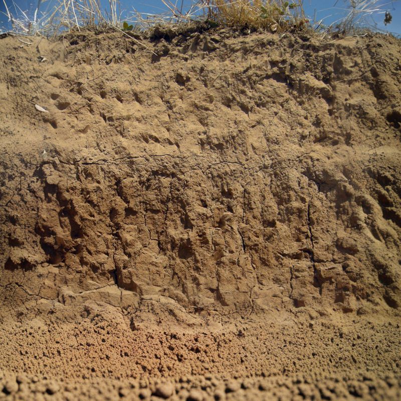 San Joaquin soils have a brown to reddish brown surface soil horizon with a loam texture that has an accumulation of organic matter. - History By Mail