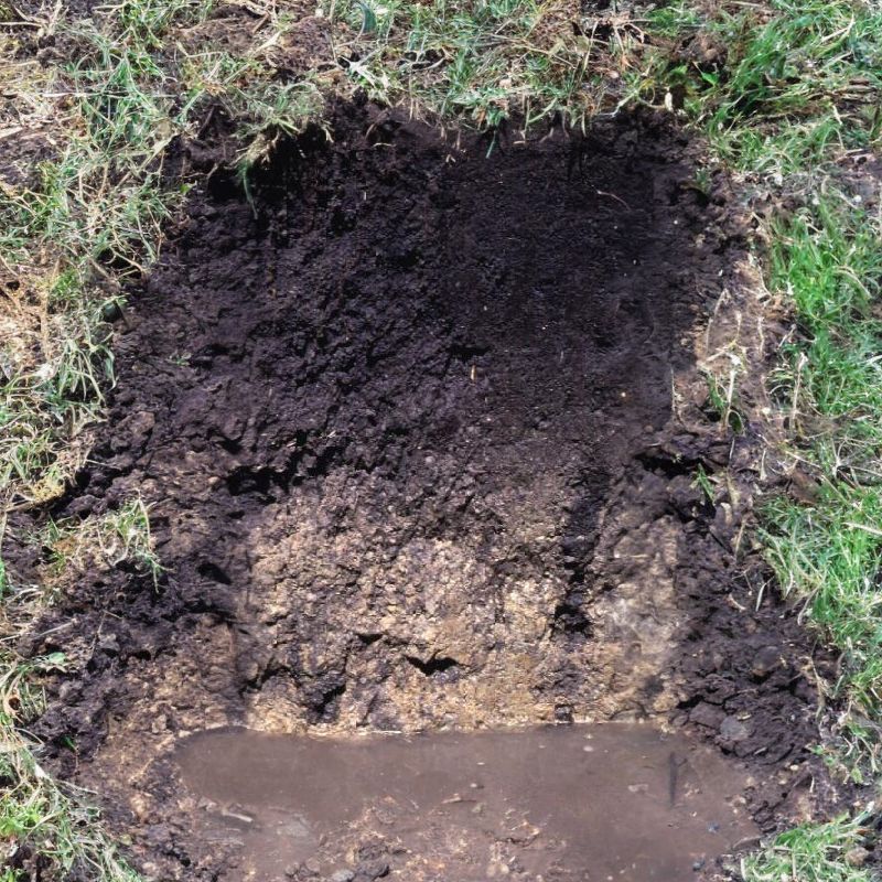 Drummer's topsoil is more often silty clay loam in texture but sometimes silt loam. - History By Mail