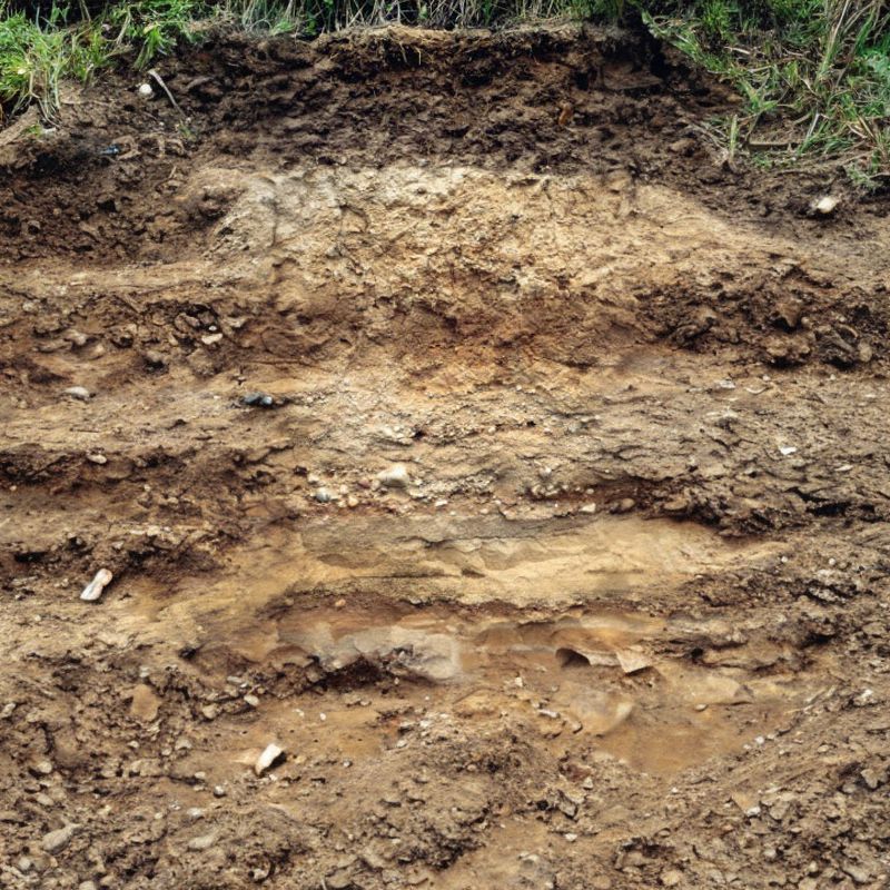Antigo soils are well-drained and formed under northern hardwood forests in loess and loamy sediments over stratified sandy outwash. - History By Mail