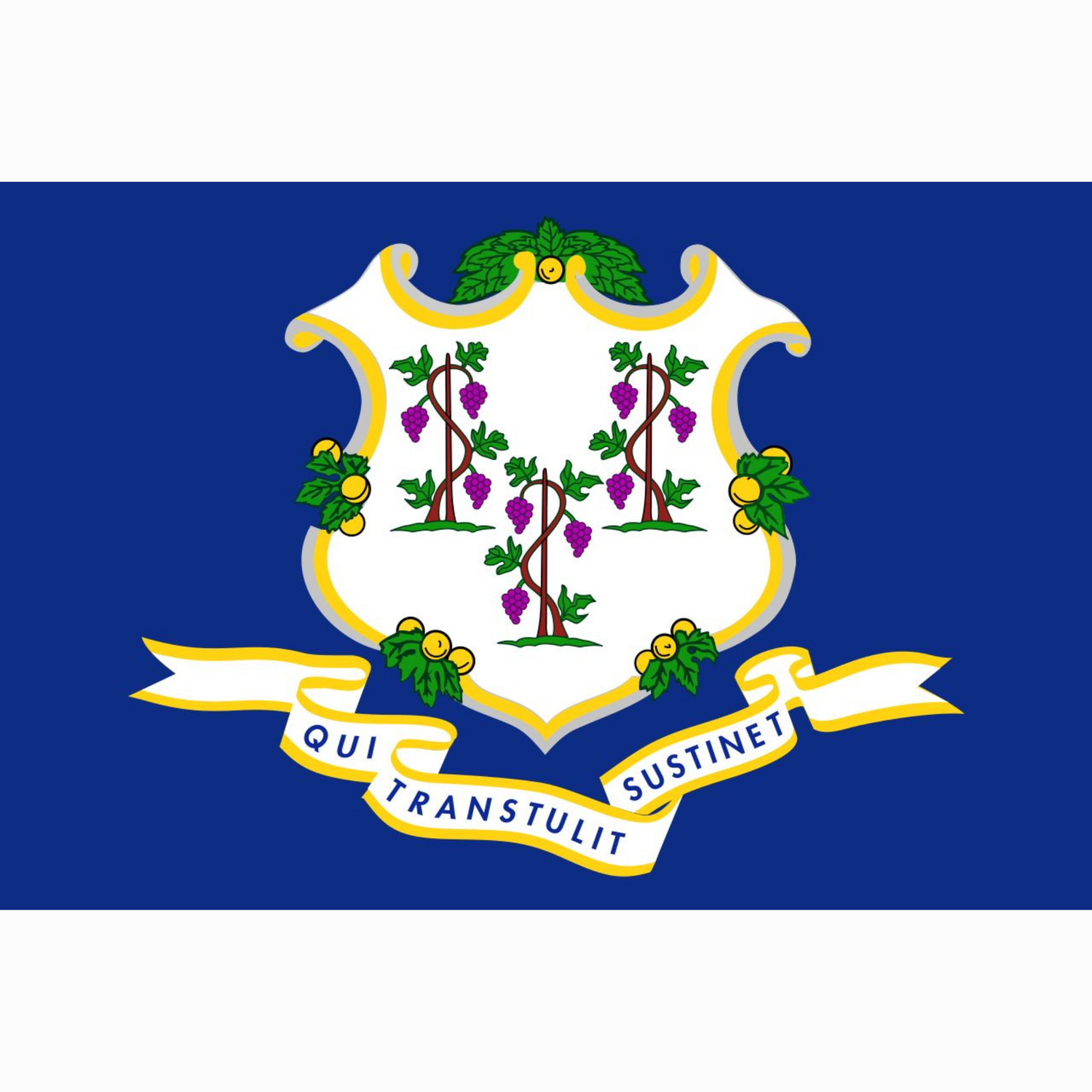 The official state flag of Connecticut was adopted in 1897 and features a field of azure blue with a white shield in the center with three grape vines. - History By Mail