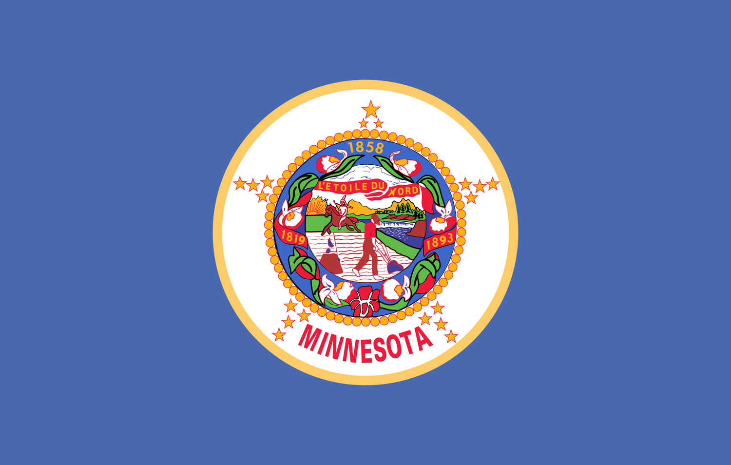 The official state flag of Minnesota was adopted in 1983 and features a simplified version of the state seal on a blue field. - History By Mail