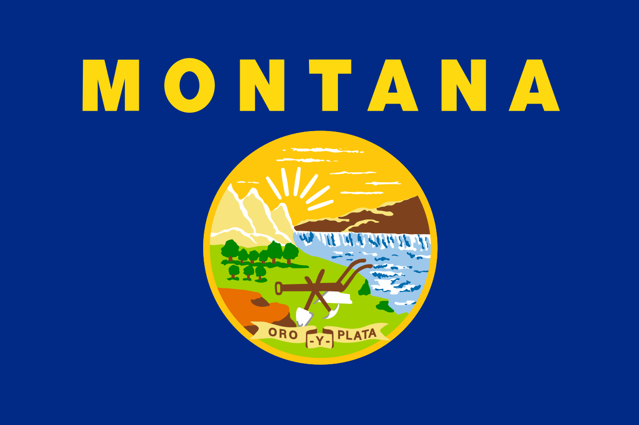 The official state flag of Montana was adopted in 1981 and features the Great Seal of the State of Montana on a blue field with the text "Montana" above. - History By Mail